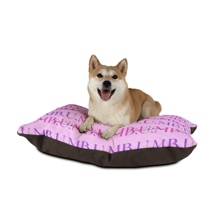 Pet Accessories